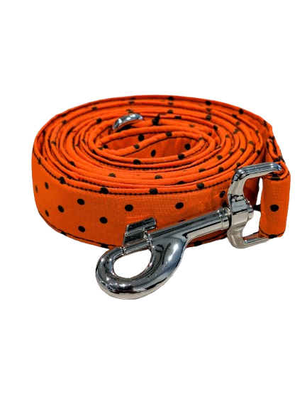 The Great Pumpkin Leash