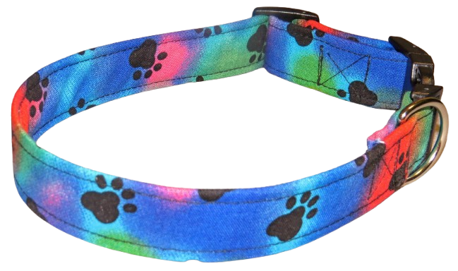 Paws & Pose Collar