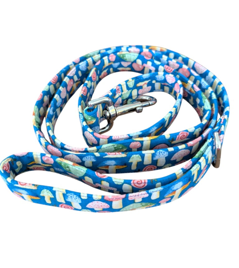Enchanted Leash