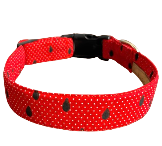 Slice of Summer Collar