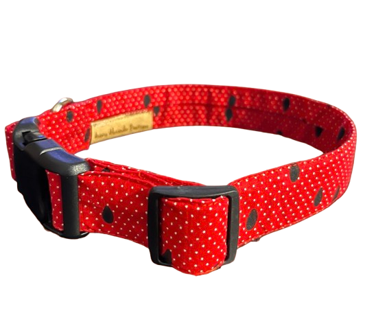 Slice of Summer Collar