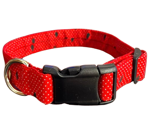 Slice of Summer Collar