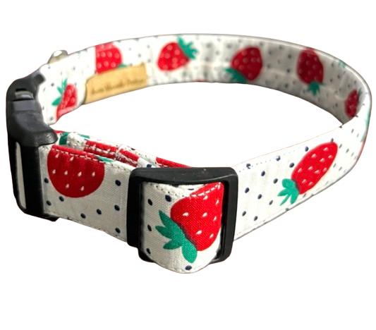 Shortcake Collar