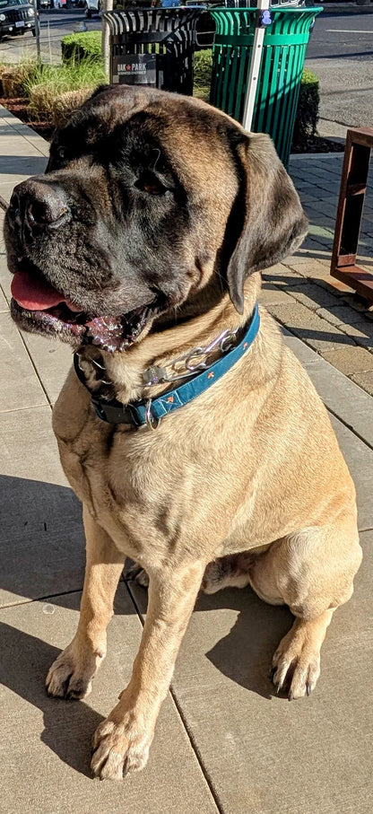 Mushroom Corner Collar