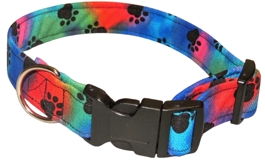 Paws & Pose Collar